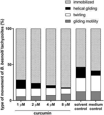 Antiparasitic Efficacy of Curcumin Against Besnoitia besnoiti <mark class="highlighted">Tachyzoite</mark>s in vitro